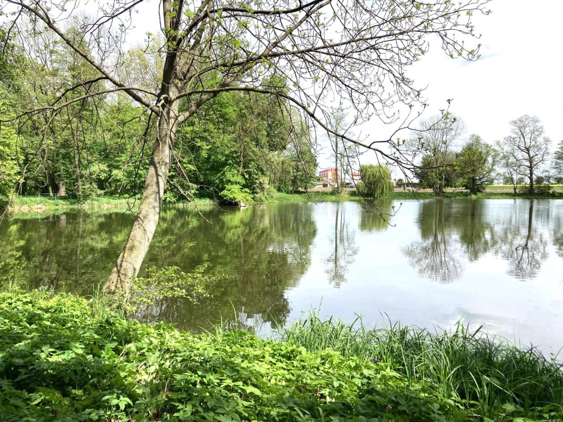 park leśmierz